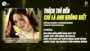 [MASHUP] Thích Thì Đến x Chỉ Là Anh Không Biết (Bản Hot TikTok) – Hồ Gia Khánh x HaiYang Remix